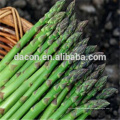 frozen dried white or green asparagus